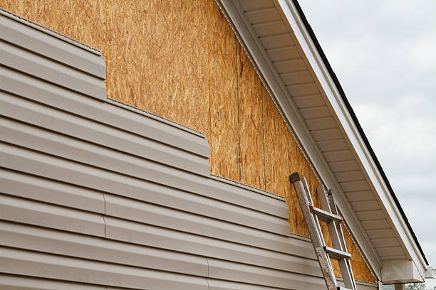 Professional Siding Repair technician working in Osseo, MN
